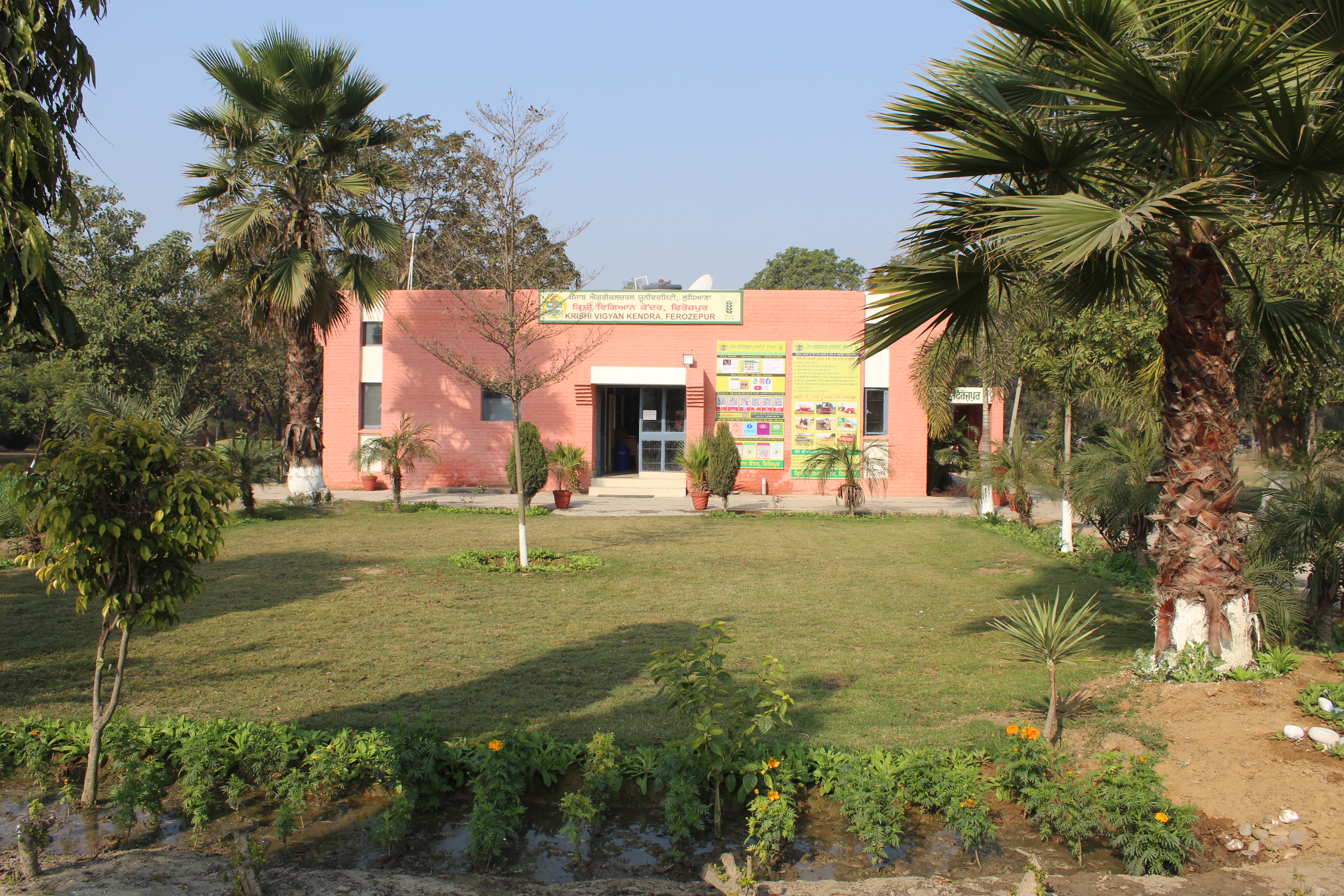 KVK, Ferozepur